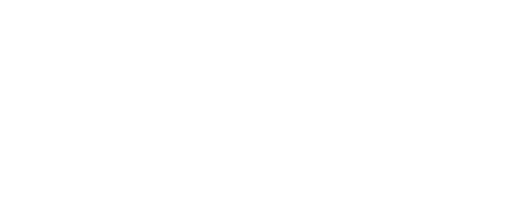 Leader Summit